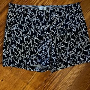 Adorable Crown and Ivy Shorts PERFECT CONDITION